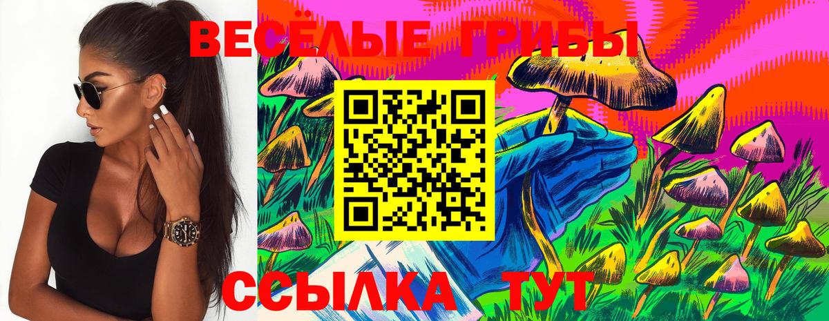 Галлюциногенные грибы MAGIC MUSHROOMS  Вход с VPN  Нефтекамск 